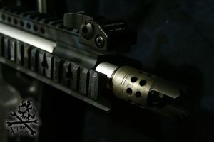 E&C M4 PWS Mk110(EC-601)